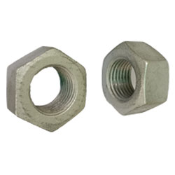HEX NUT - revekka fasteners
